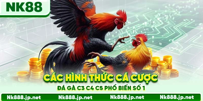 Đá Gà C3 C4 C5 Nk88 - Trực Tiếp Đỉnh Cao, Cược Lớn