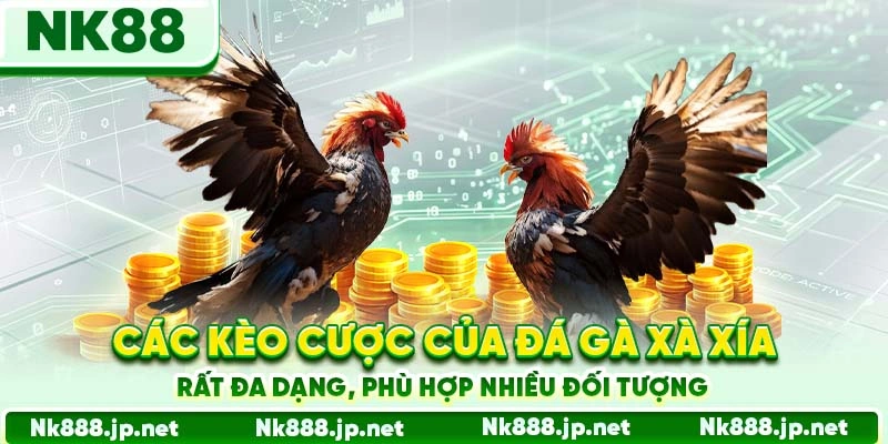 Đá Gà Xà Xía 88 - Đặc Sản Miền Tây Nam Bộ