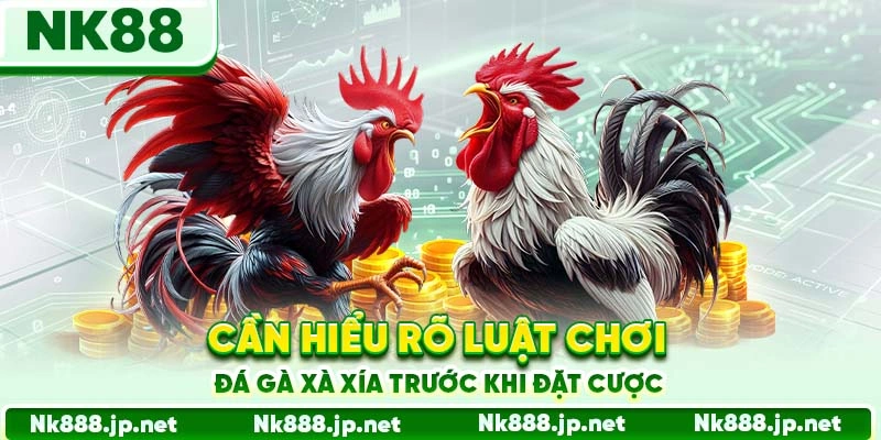 Đá Gà Xà Xía 88 - Đặc Sản Miền Tây Nam Bộ