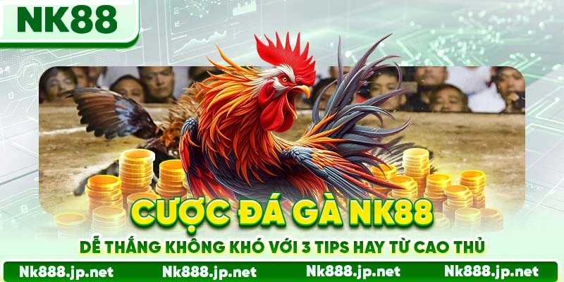 Đá Gà Nk88- Xem Trực Tiếp, Cược Ngay, Thắng Tức Thì