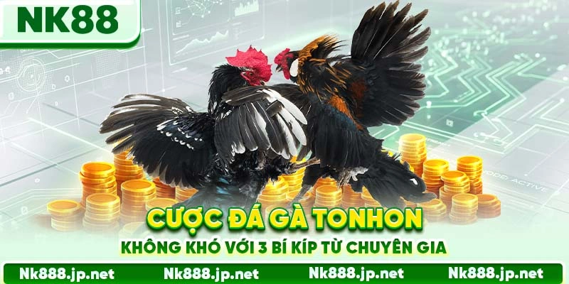 Đá Gà Tonhon Nk88 - Đấu Trường Huyền Thoại, Cược Đỉnh Nóc
