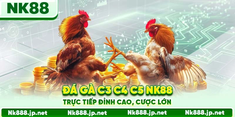 Đá Gà C3 C4 C5 Nk88 - Trực Tiếp Đỉnh Cao, Cược Lớn