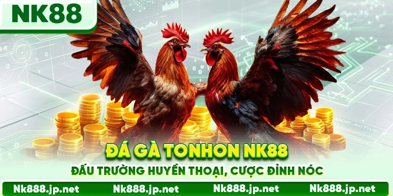 Đá Gà Tonhon Nk88 - Đấu Trường Huyền Thoại, Cược Đỉnh Nóc