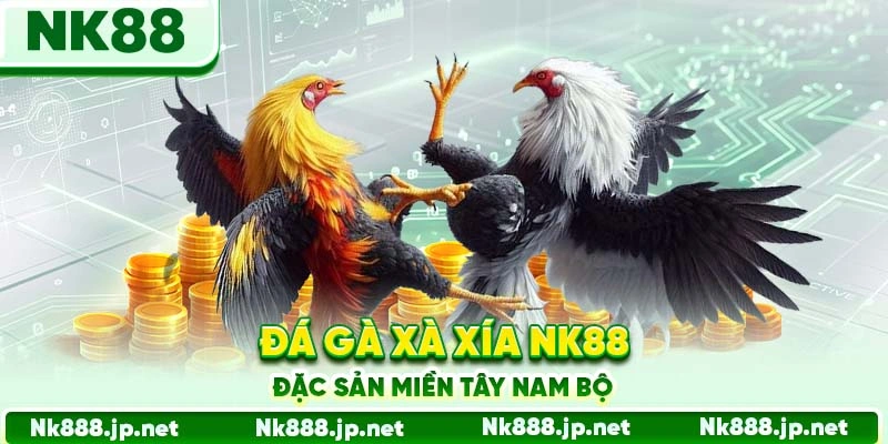 Đá Gà Xà Xía 88 - Đặc Sản Miền Tây Nam Bộ
