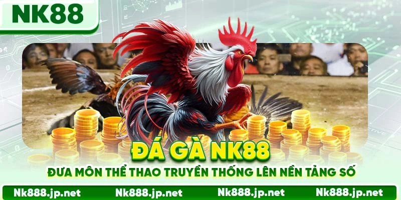 Đá Gà Nk88- Xem Trực Tiếp, Cược Ngay, Thắng Tức Thì