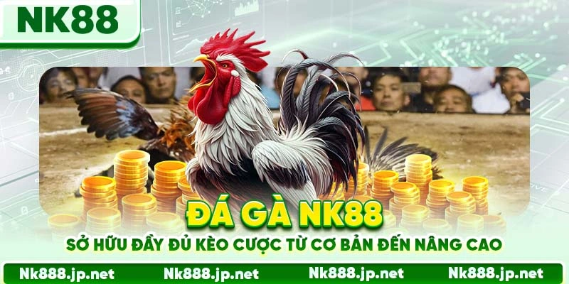 Đá Gà Nk88- Xem Trực Tiếp, Cược Ngay, Thắng Tức Thì