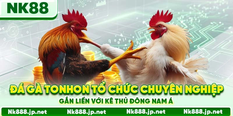 Đá Gà Tonhon Nk88 - Đấu Trường Huyền Thoại, Cược Đỉnh Nóc