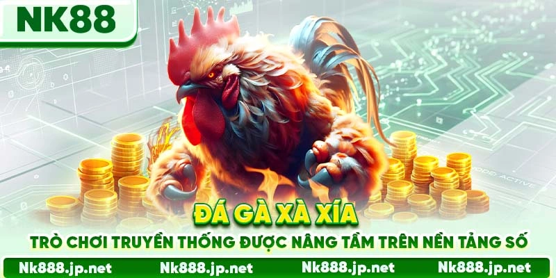 Đá Gà Xà Xía 88 - Đặc Sản Miền Tây Nam Bộ