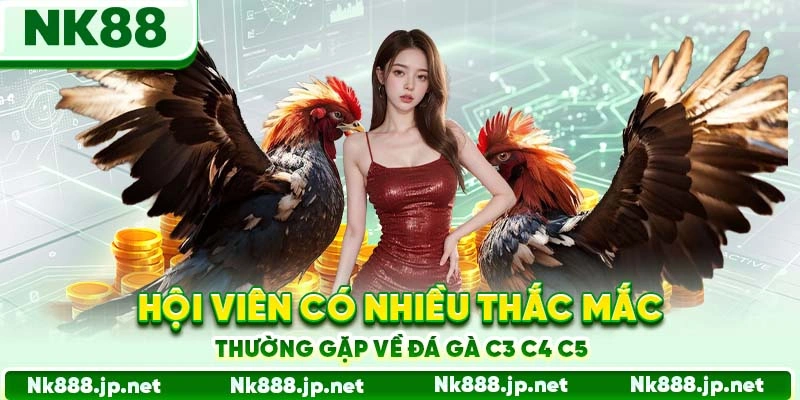 Đá Gà C3 C4 C5 Nk88 - Trực Tiếp Đỉnh Cao, Cược Lớn