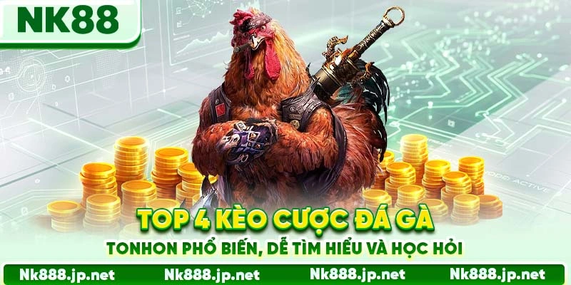Đá Gà Tonhon Nk88 - Đấu Trường Huyền Thoại, Cược Đỉnh Nóc